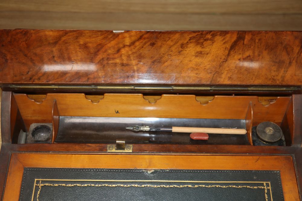 A Victorian burr walnut lap desk, width 43cm